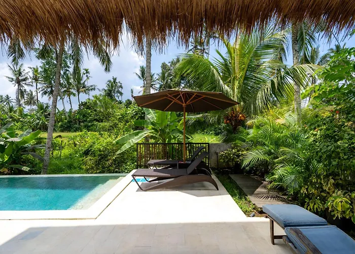 Bali View