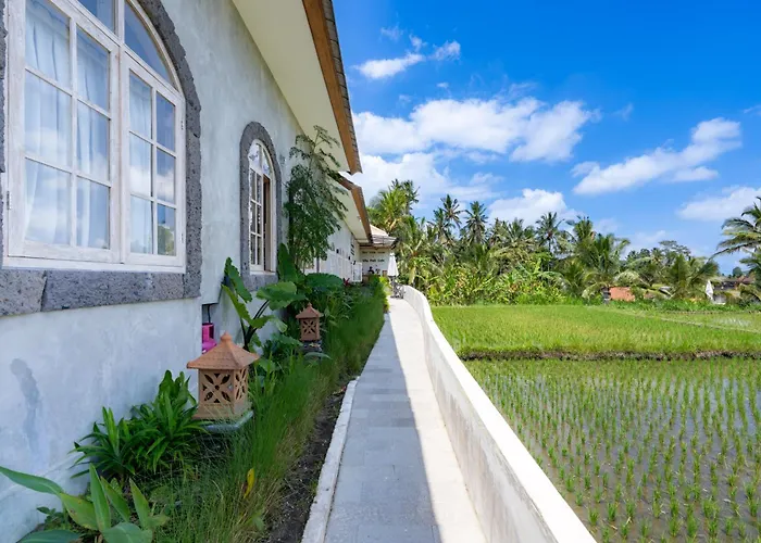 Bali View Ubud