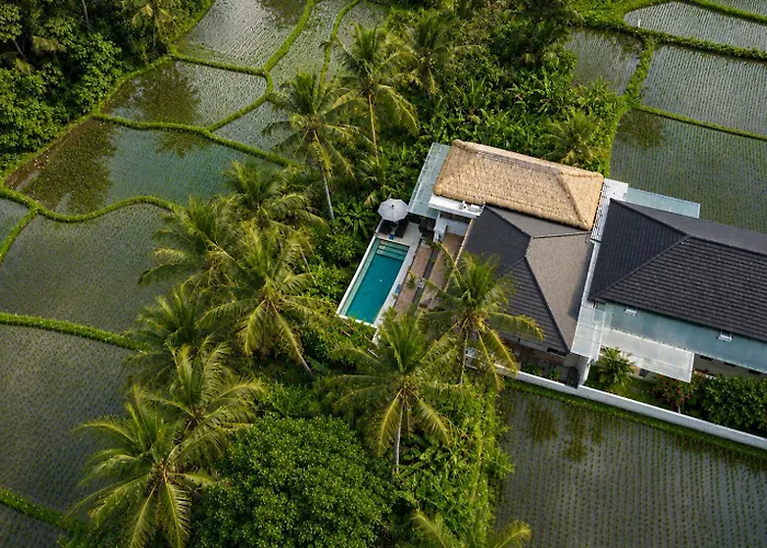 Bali View